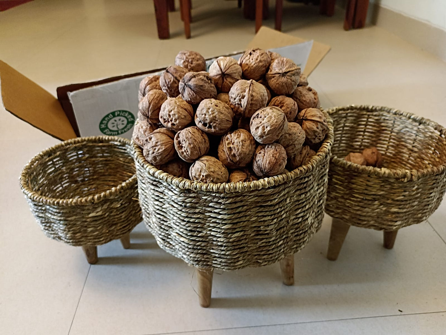 Paper Walnuts With Shell (Pre Book October Harvest)