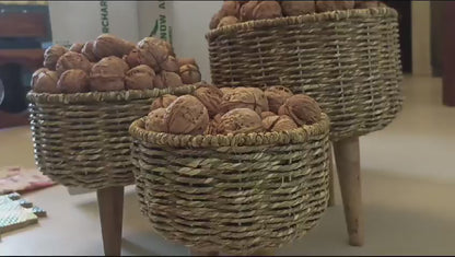 Paper Walnuts With Shell (Pre Book October Harvest)